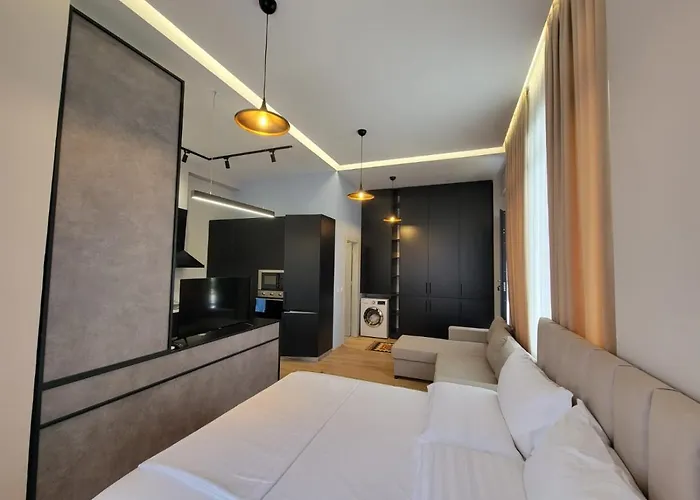 公寓 Berhami Studio 地拉那